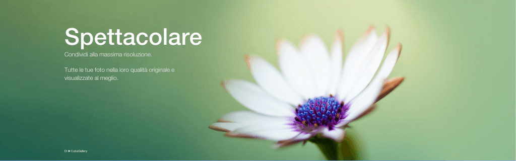 Schermata 2013-05-22 alle 01.40.31