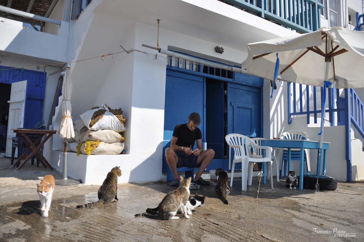 Milos. Pescatore che cura il pesce a Klima