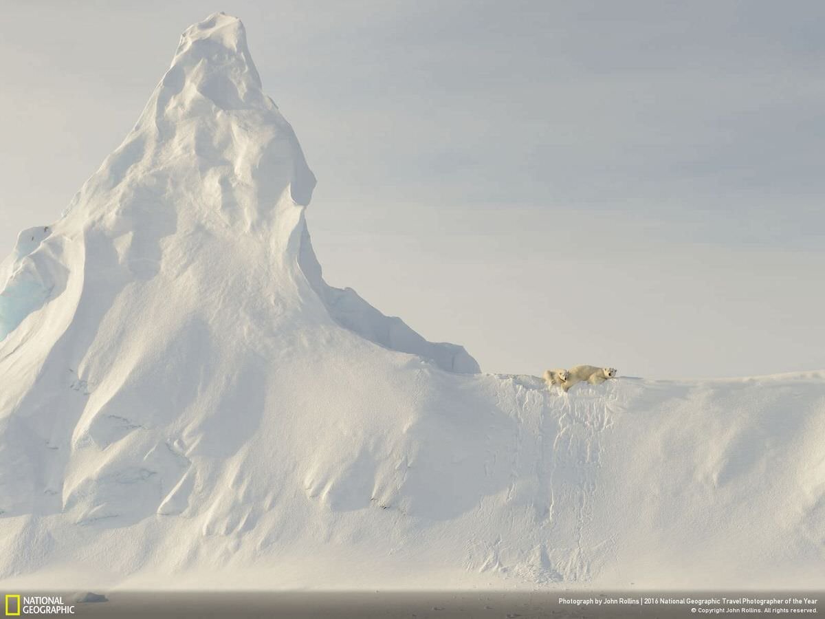 The location is on the sea ice in Davis Straight, off the coast of Baffin Island in the Canadian Arctic, on April 2, 2016. This mother polar bear and her yearling are perched atop a huge snow-covered iceberg that got socked in when the ocean froze over for the winter. To me, the relative smallness of these large creatures when compared to the immensity of the iceberg in the photo represents the precariousness of the polar bear's reliance on the sea and sea ice for its existence. | CATEGORY: Nature