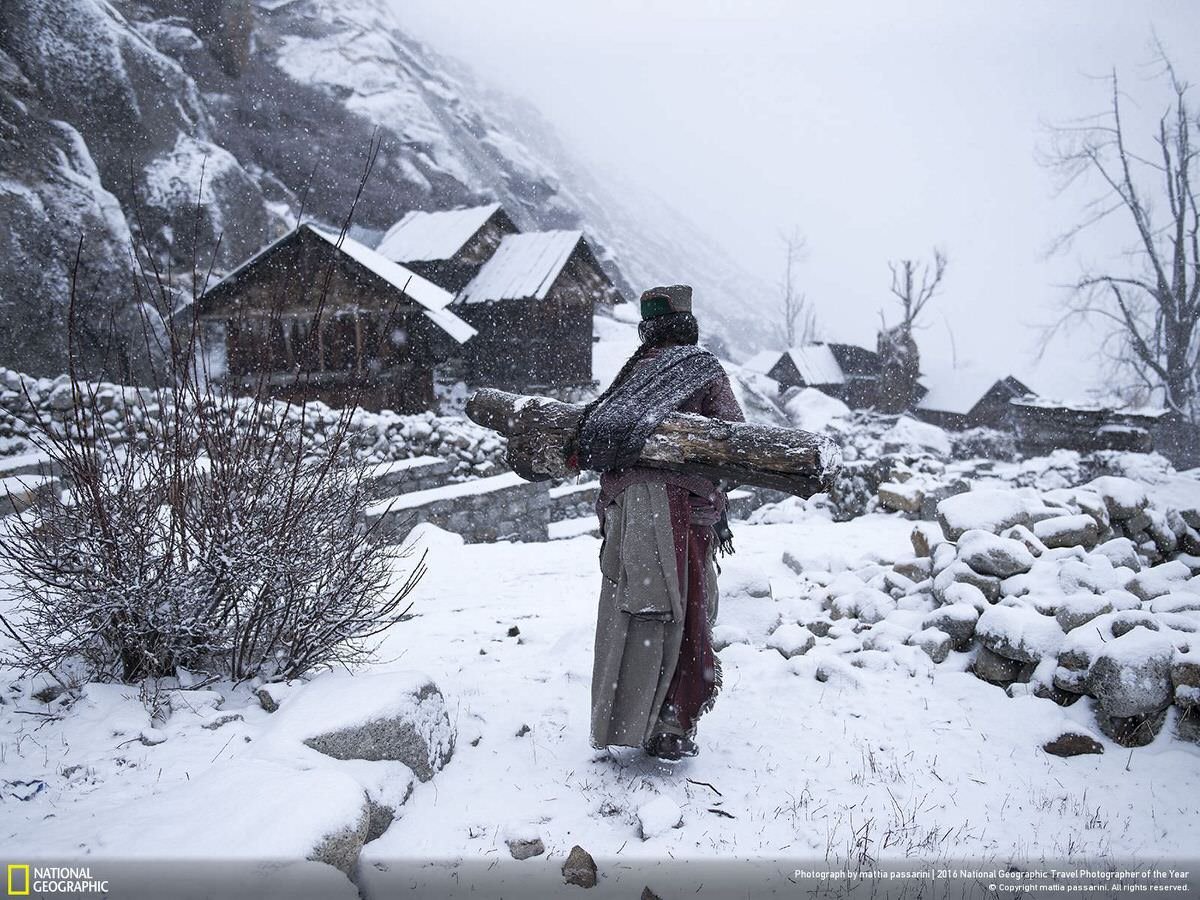 An old woman in a remote village in Himachal Pradesh, India, carries a big log back home to warm up her house. | CATEGORY: People
