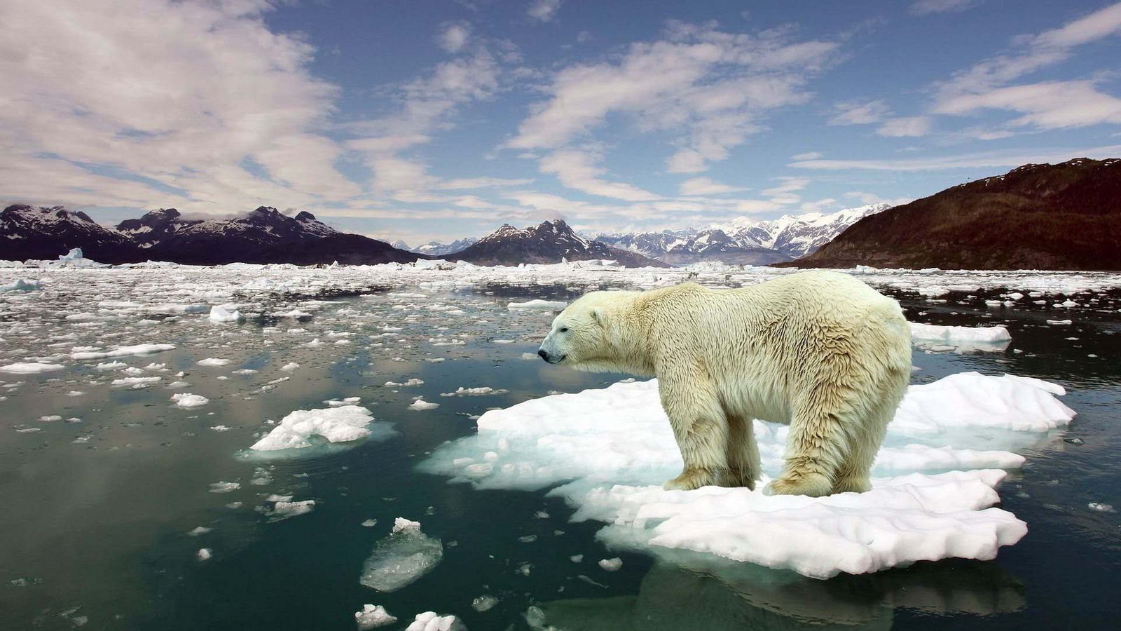 8845010 stop global warming