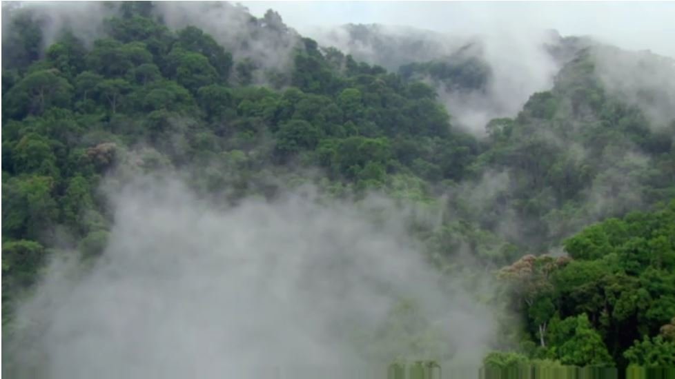 3ECE70C7 33FE 489F A221 0EE524FAE6E0