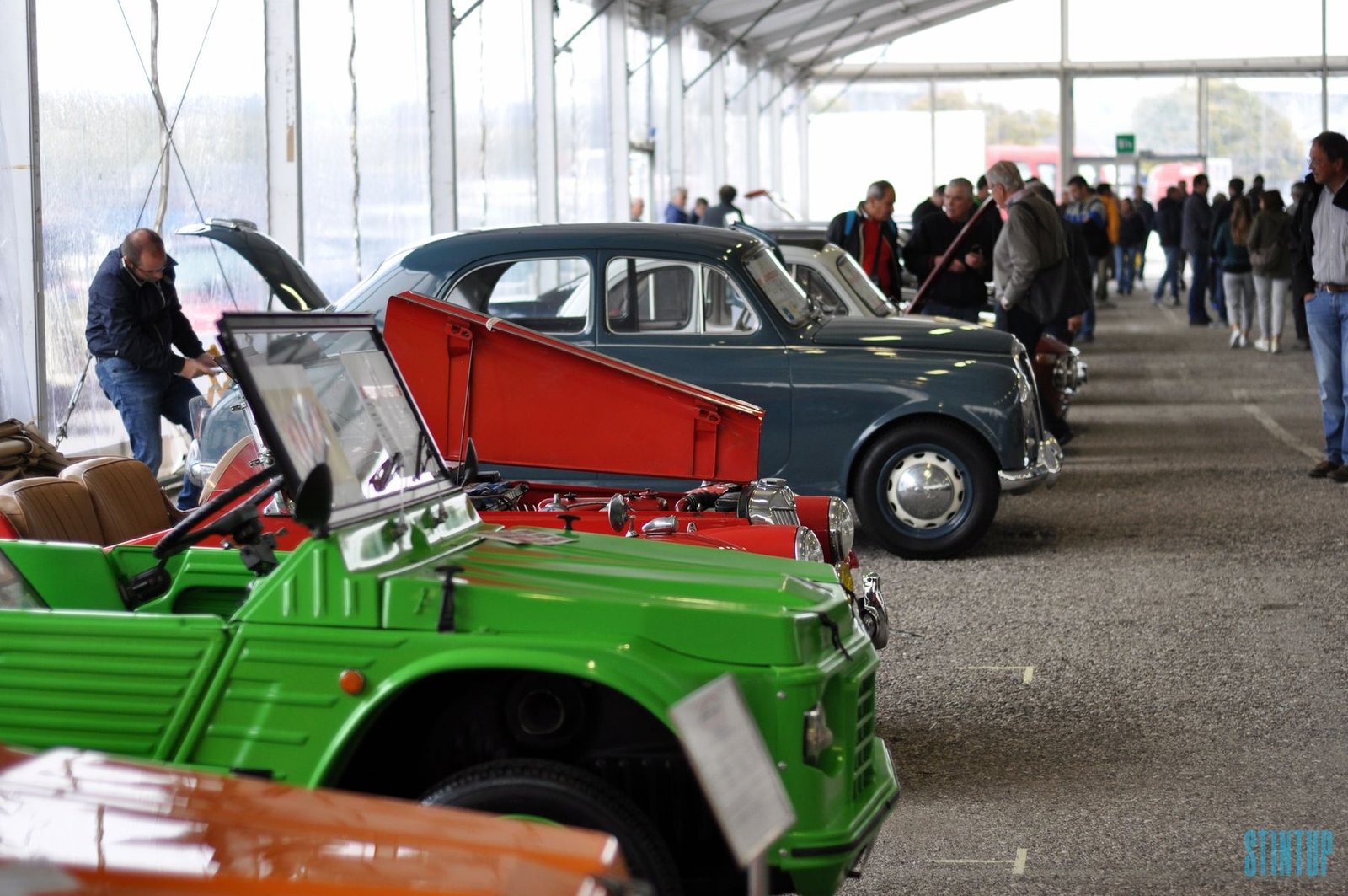 DSC 0100 risultato 1