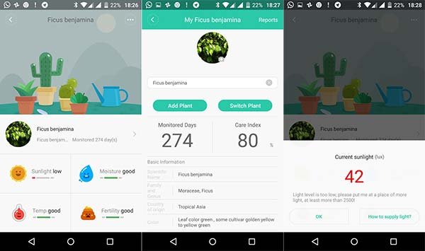 Xiaomi Mi Plant, un accessorio economico ma essenziale per le tue piante 5 Xiaomi Mi Plant monitor