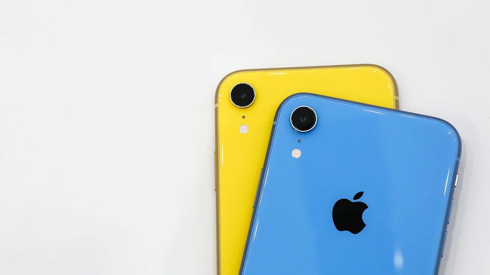 Cover iPhone XR: le migliori custodie per iPhone XR 1 iPhone XR