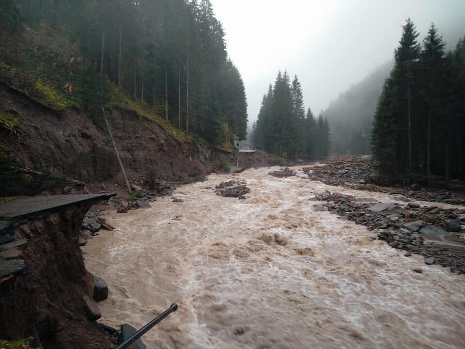 45045117 365818757495264 6496868192525221888 n