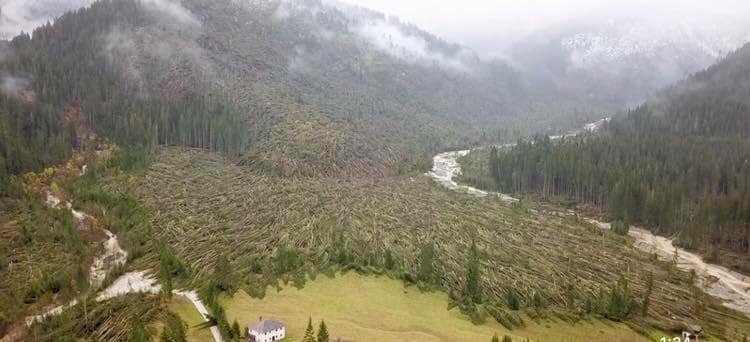 Boschi distrutti Vaia