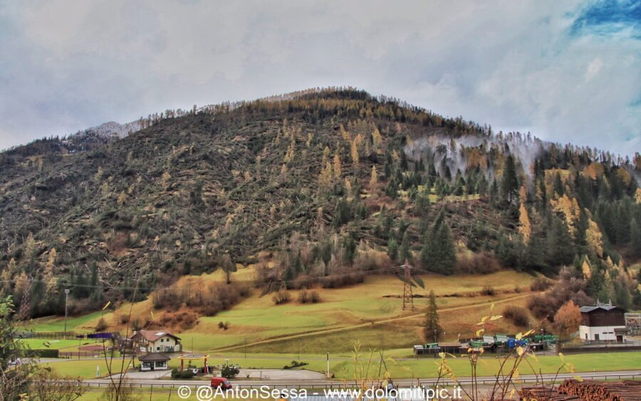 Boschi distrutti e paesaggi cambiati nelle Dolomiti | Resoconto Vaia ottobre 2018 4 45148333 2466827709999189 7984063630230421504 o 1