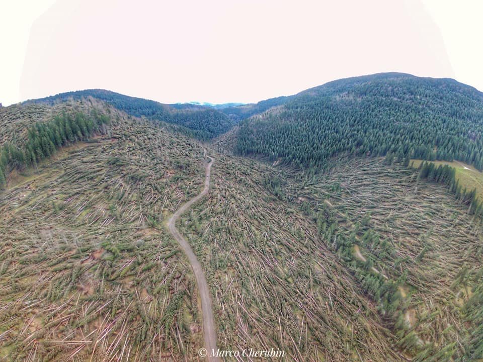 Boschi distrutti Vaia