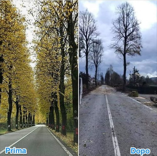 Schermata 2018 11 03 alle 02 49 38