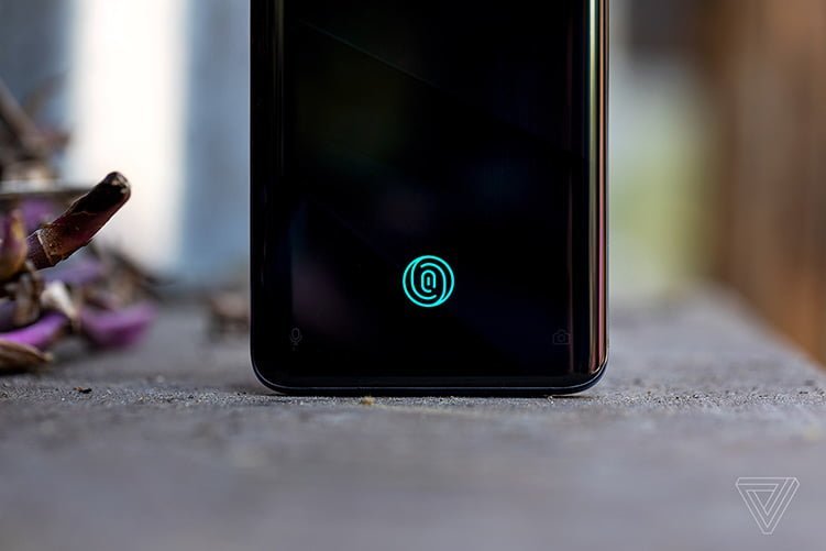 vpavic 190503 3415 0110