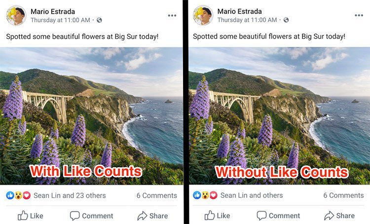 numero mi piace Instagram Facebook