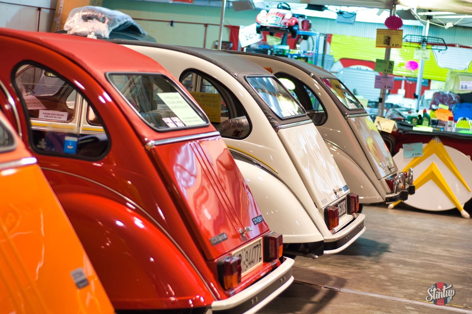 DSC 0014 risultato 2