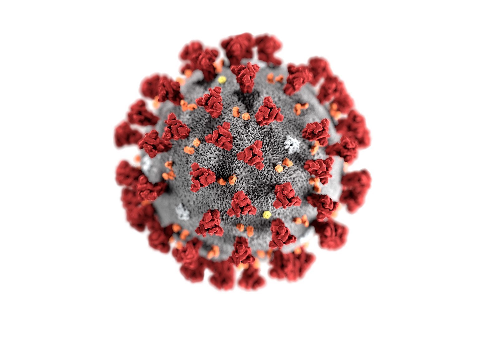 MWC 2020 Barcellona cancellato per il Coronavirus: ora è ufficiale 2 MWC Coronavirus
