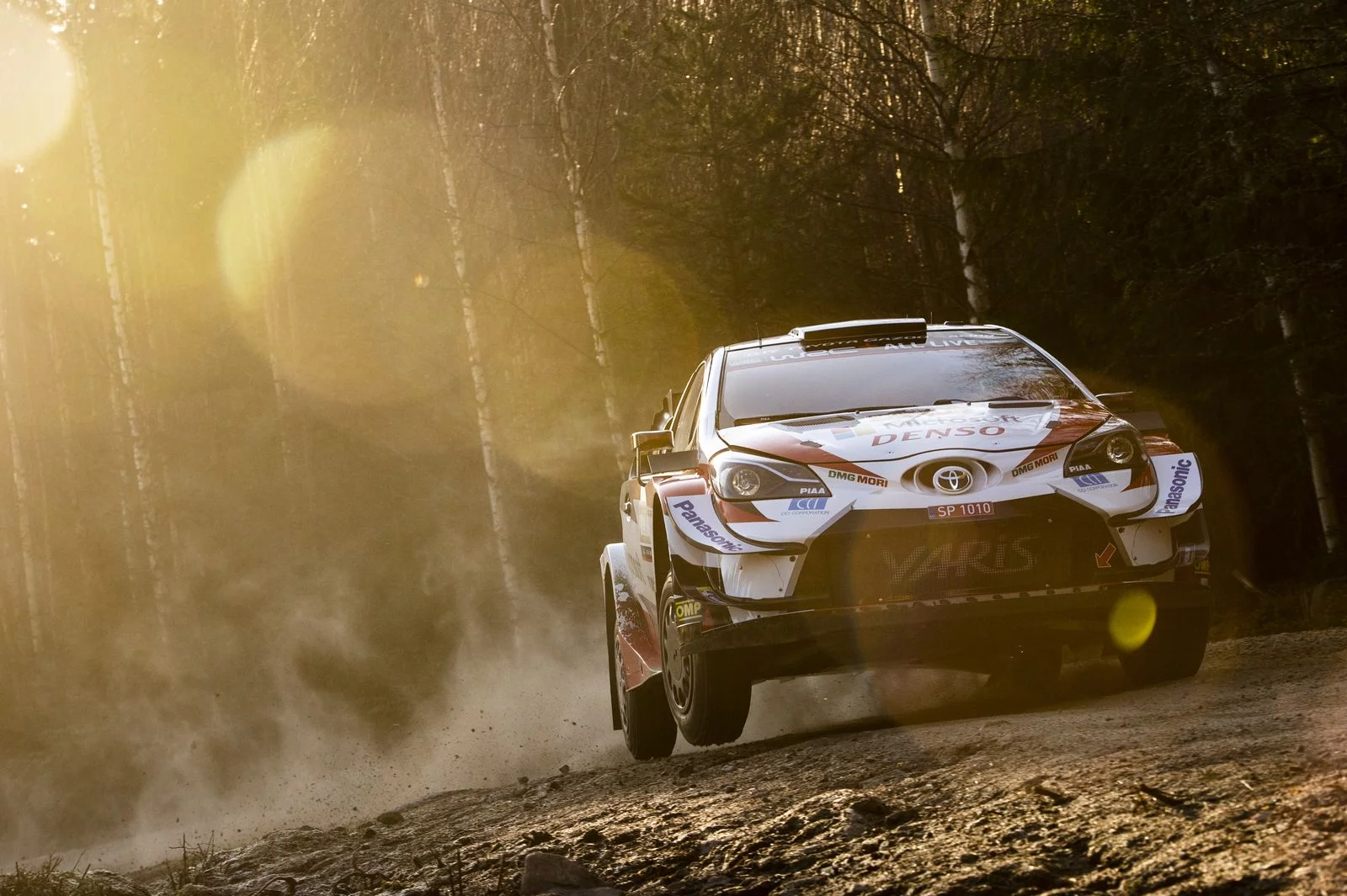 wrc svezia