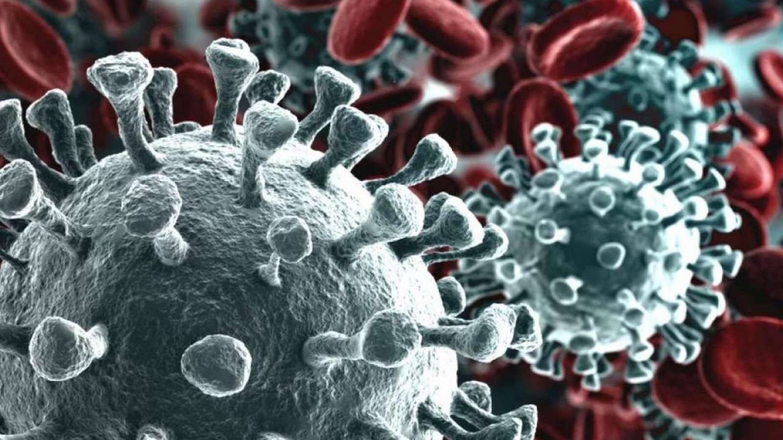 coronavirus situazione