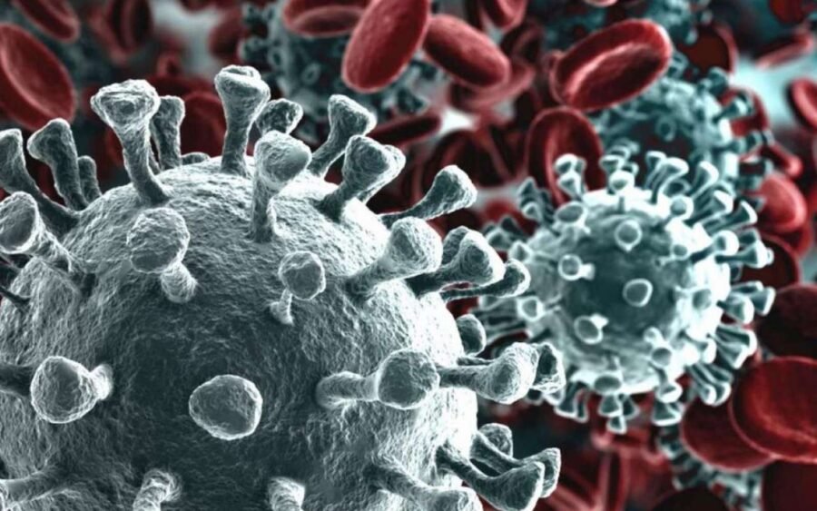 CORONAVIRUS 1
