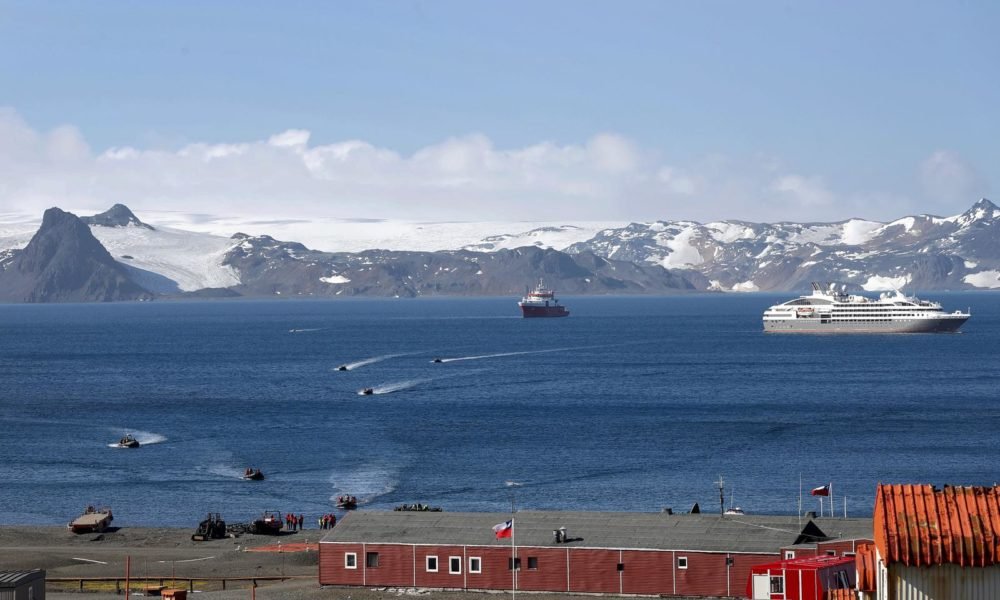 antartide coronavirus