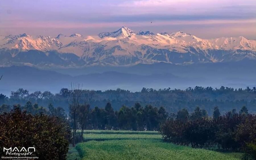 India, il lockdown più difficile al mondo e l'Himalaya che torna a mostrarsi 2 EUyf NsXsAQfSET