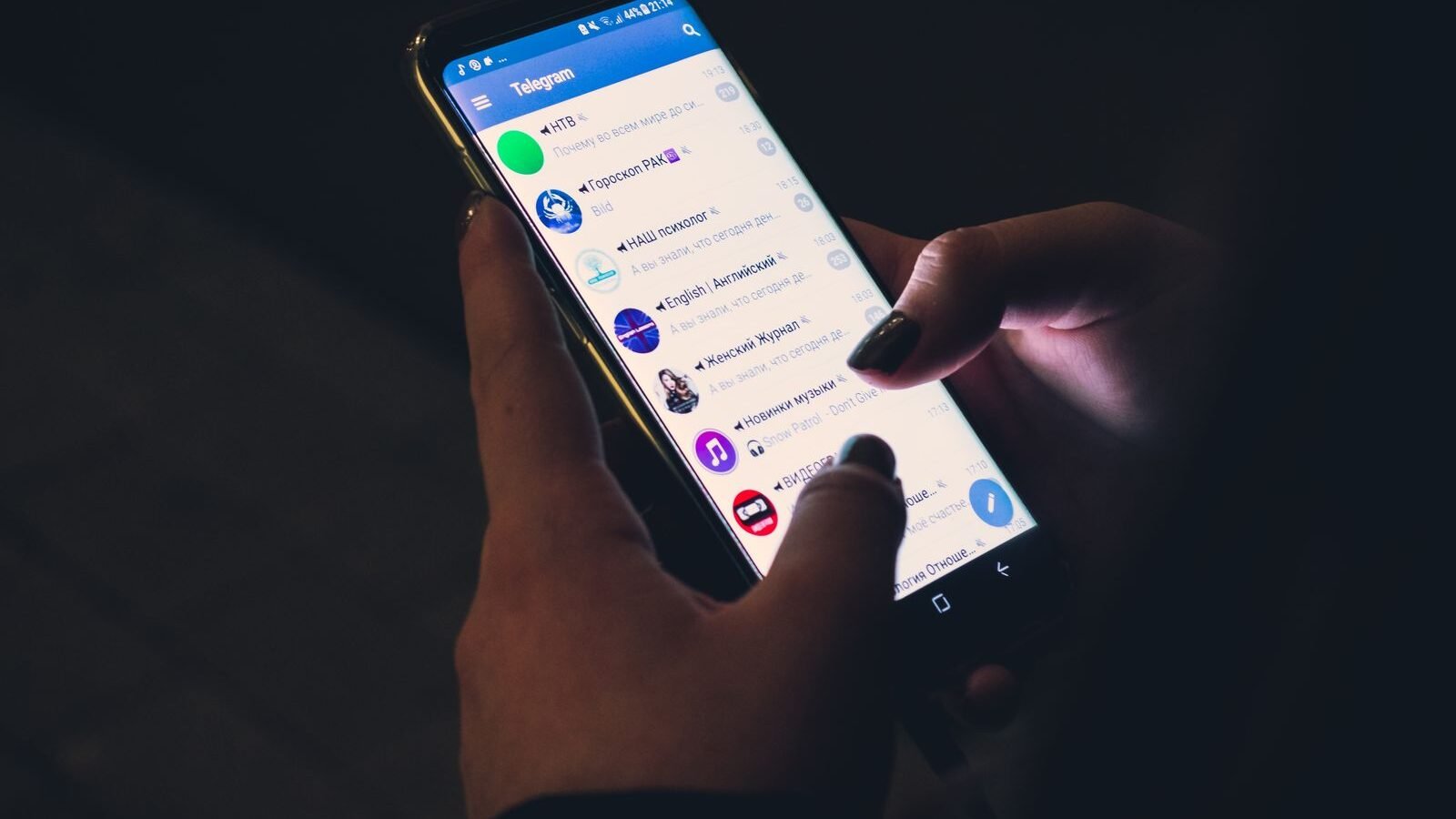 Telegram, videochiamate di gruppo in arrivo quest'anno 1 videochiamate telegram
