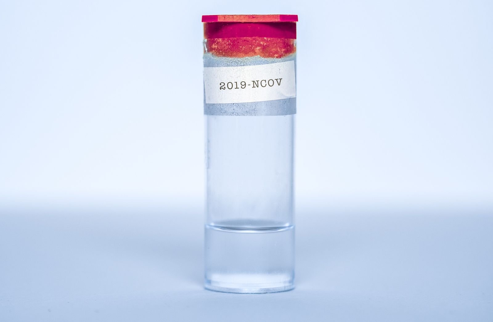coronavirus immunità