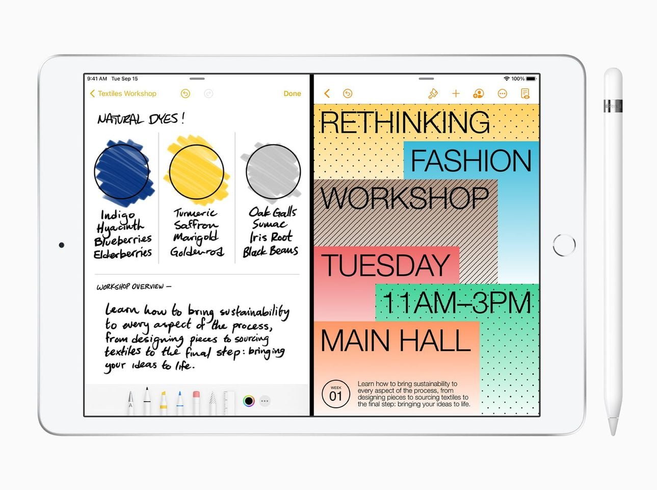 Apple Watch Series 6, SE e nuovi iPad 5 apple ipad 8th gen scribble2 09152020 risultato 1