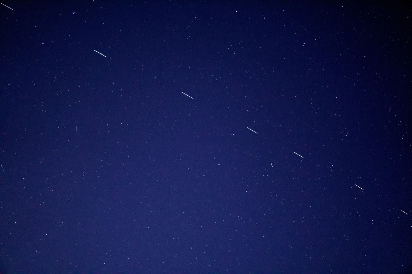 starlink spacex