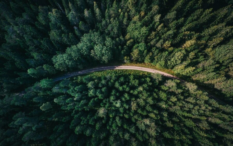 geran de klerk qzgN45hseN0 unsplash result