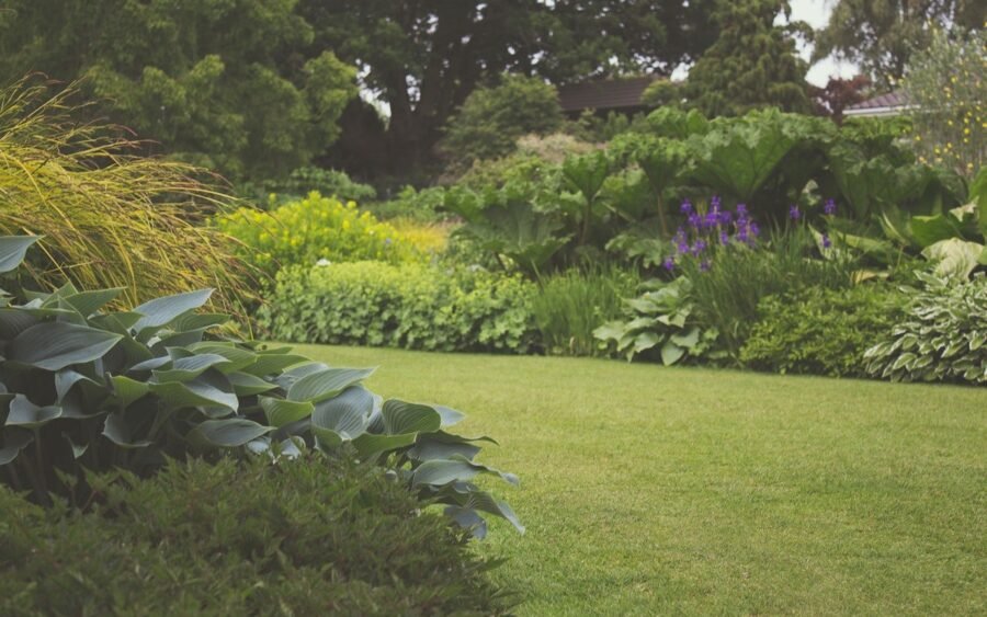 Consigli per la cura del giardino 6 pexels creative vix 7283 1 1