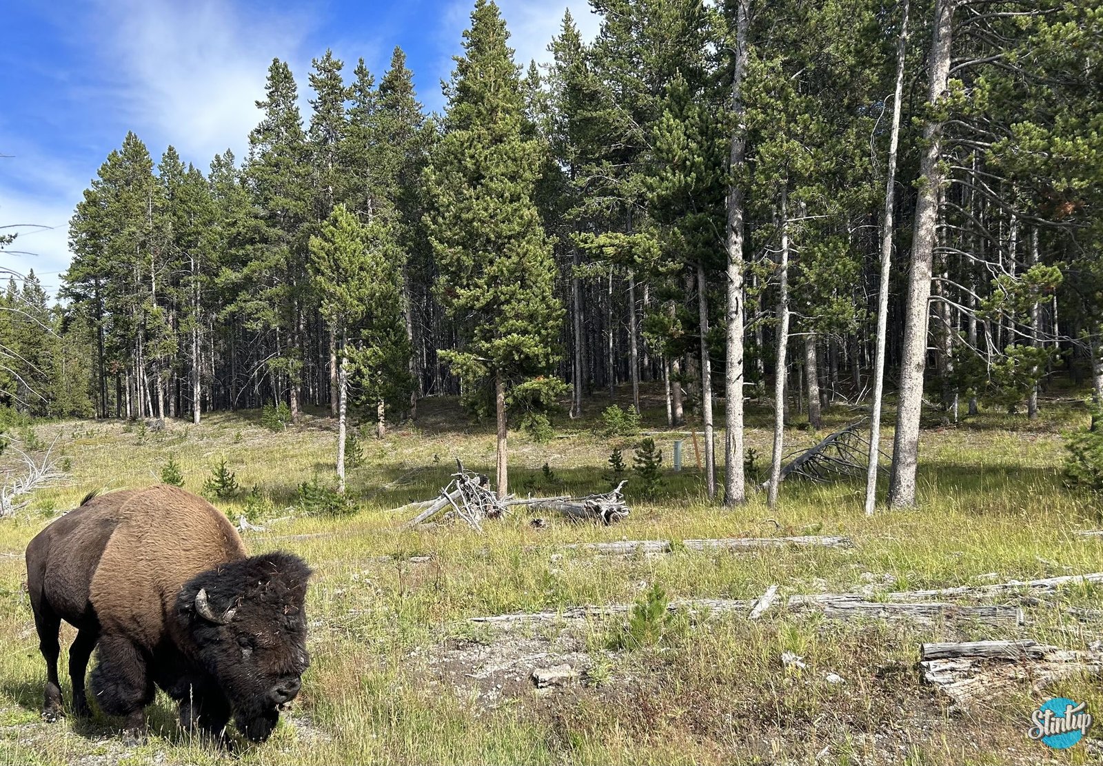 2023 09 10 00 25 26 415 result