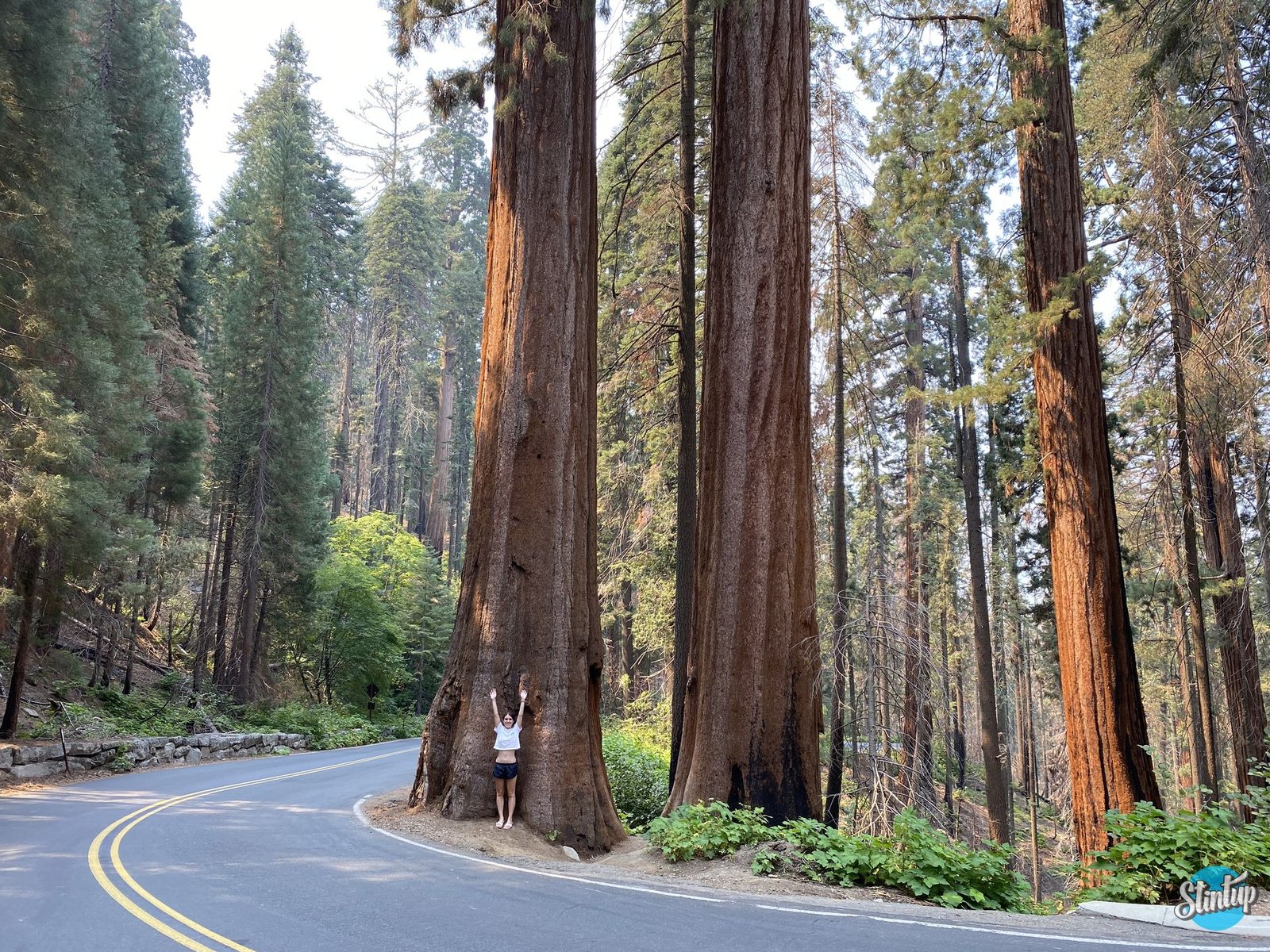 2023 09 15 21 33 57 328 result