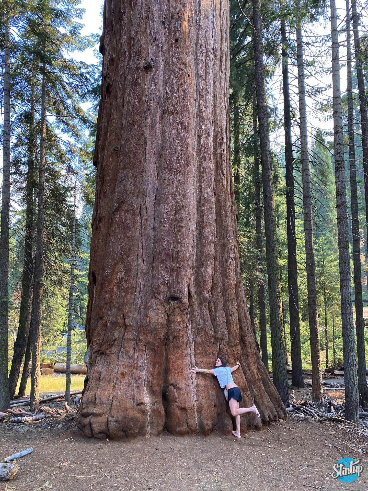 2023 09 15 21 55 40 024 result