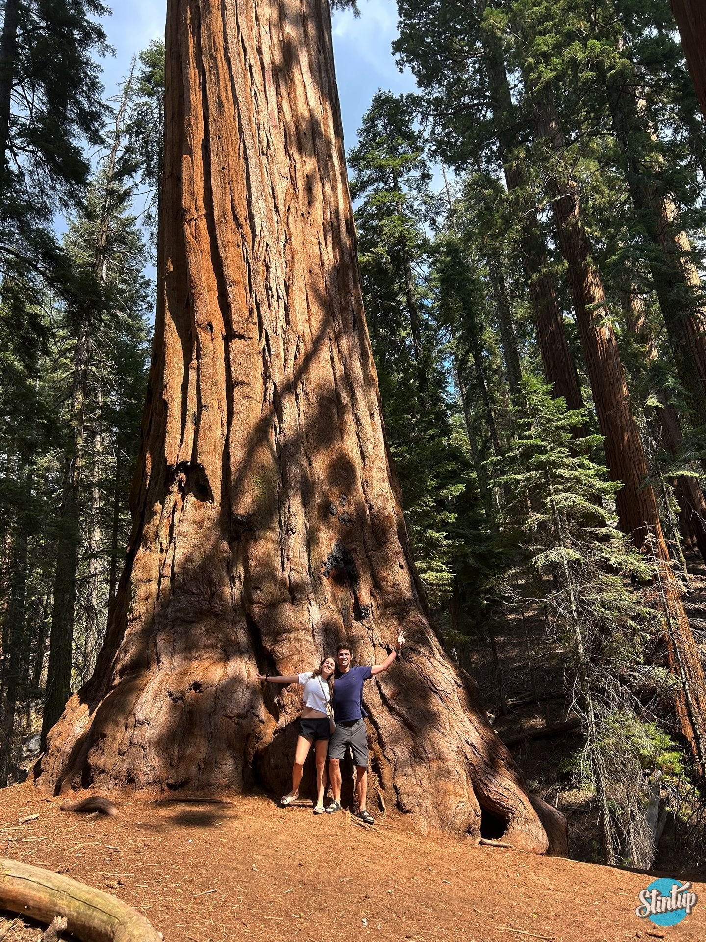 2023 09 15 23 05 57 665 result